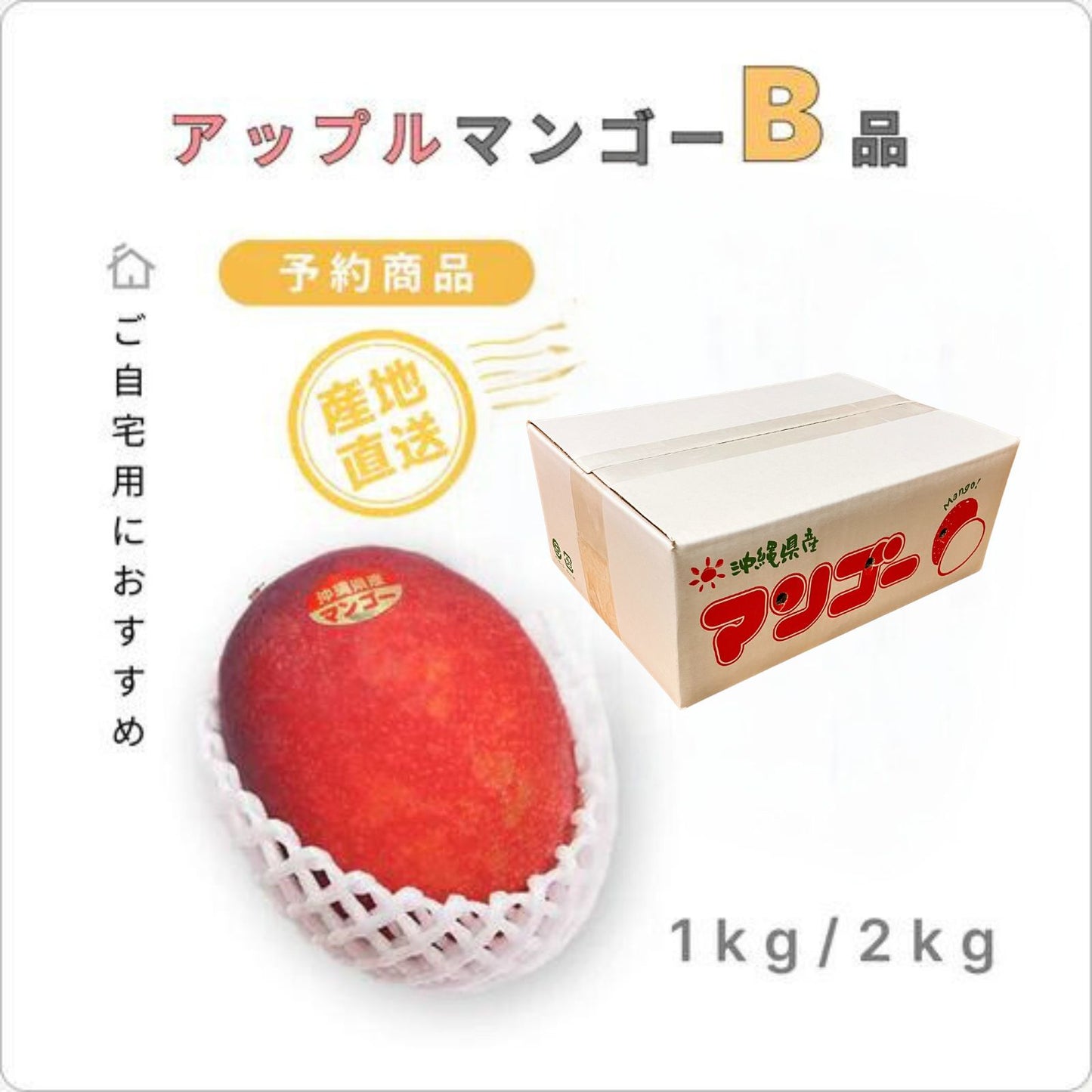 『予約商品』 南の果実園のアップルマンゴー 【B品】