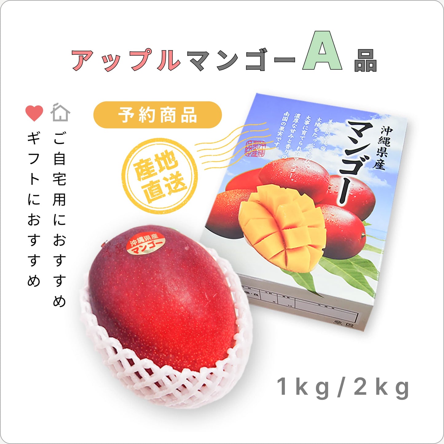 『予約商品』 南の果実園のアップルマンゴー 【A品】