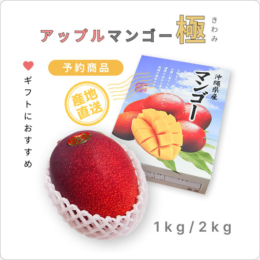 『予約商品』 南の果実園のアップルマンゴー 【極-きわみ-】