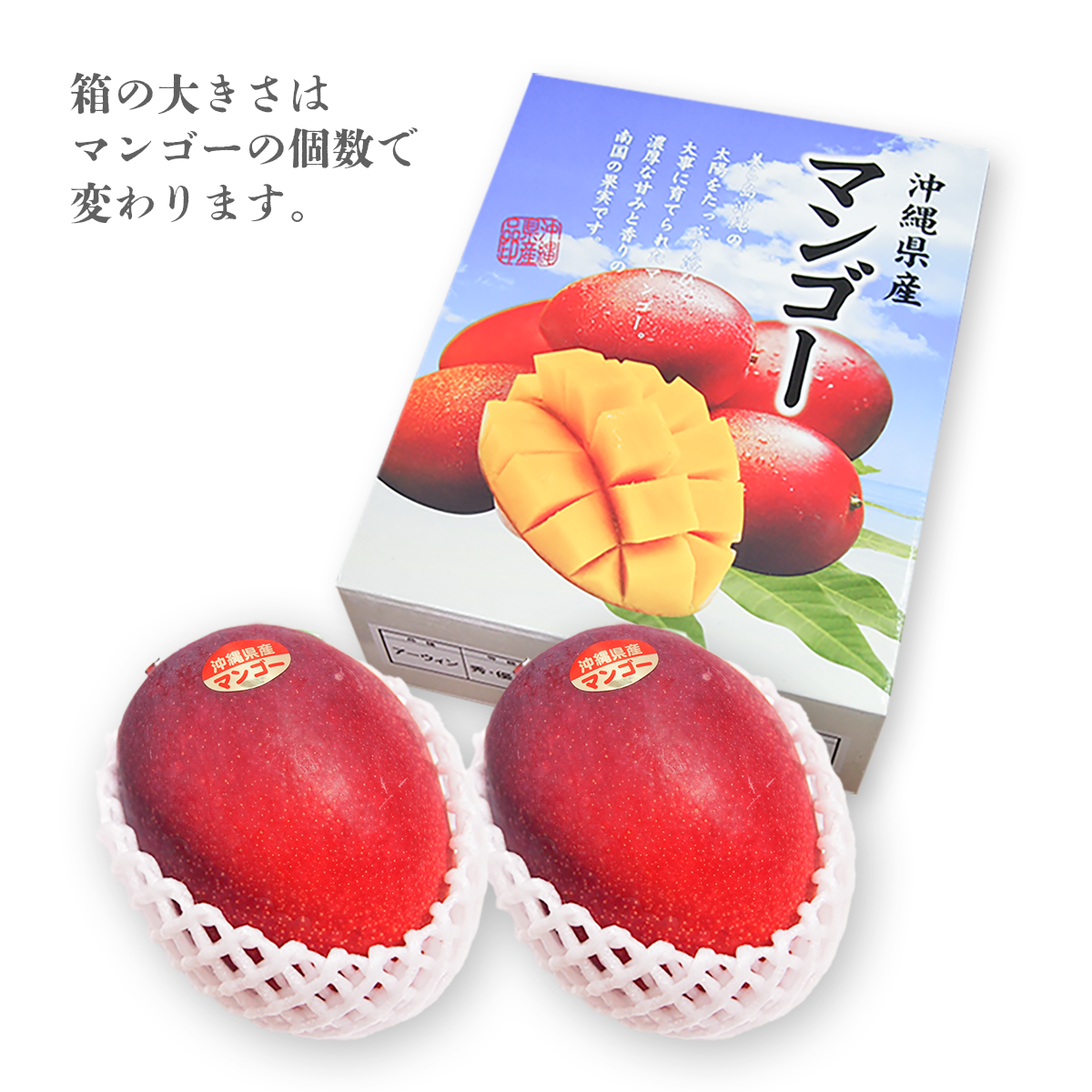 南の果実園のアップルマンゴー　予約商品』　【A品】