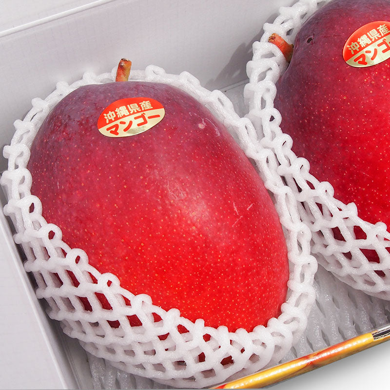 『予約商品』 南の果実園のアップルマンゴー 【A品】
