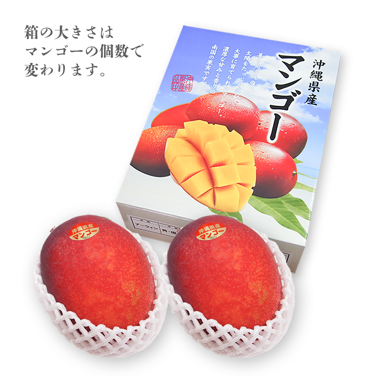 『予約商品』 南の果実園のアップルマンゴー 【B品】
