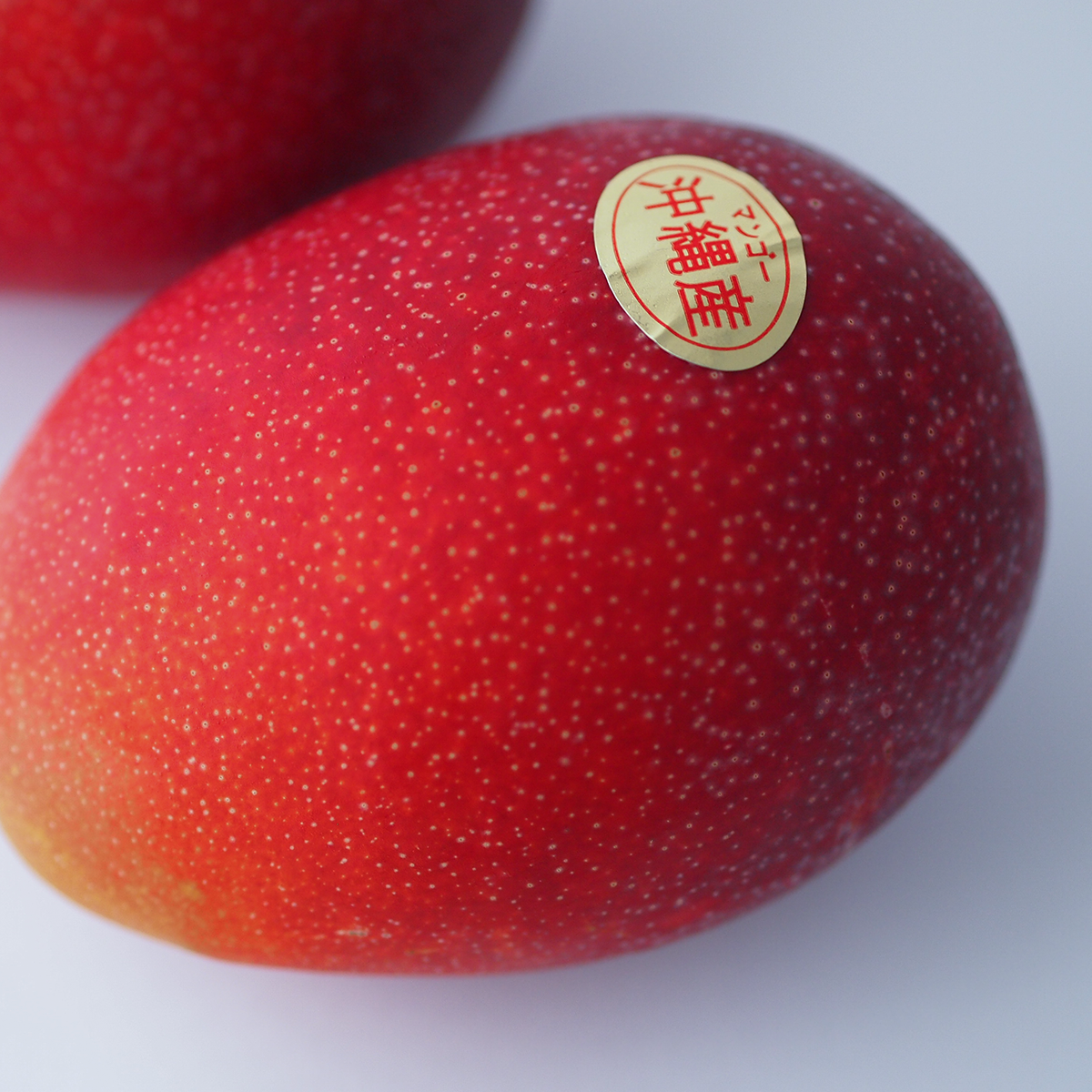 『予約商品』 南の果実園のアップルマンゴー 【極-きわみ-】